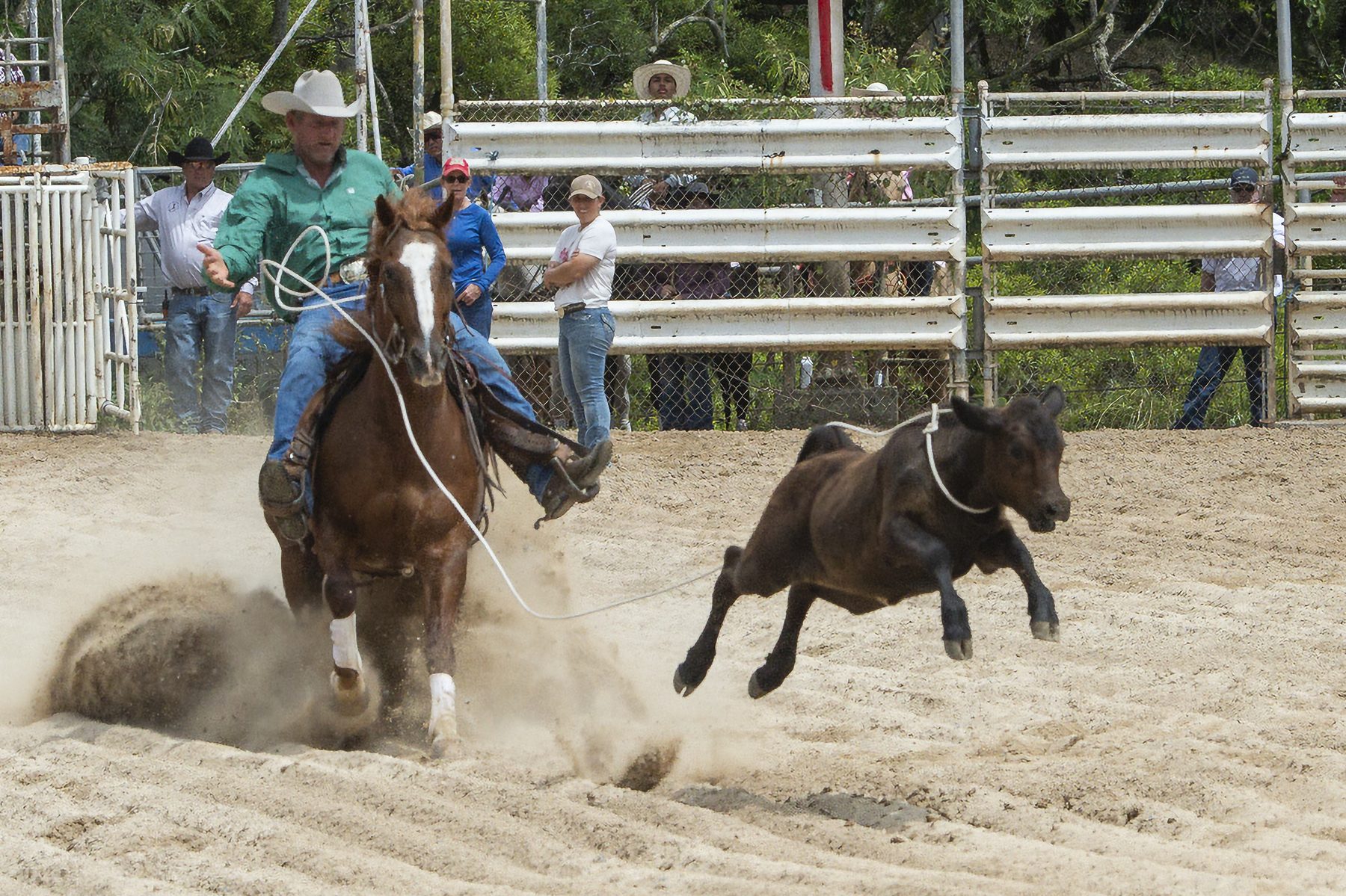 Calf roping outdoor arena