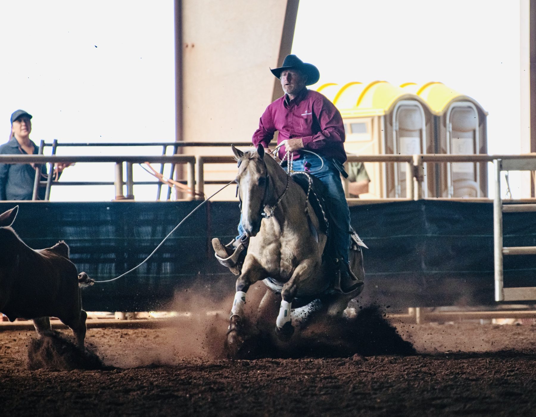 Buckskin horse roping run