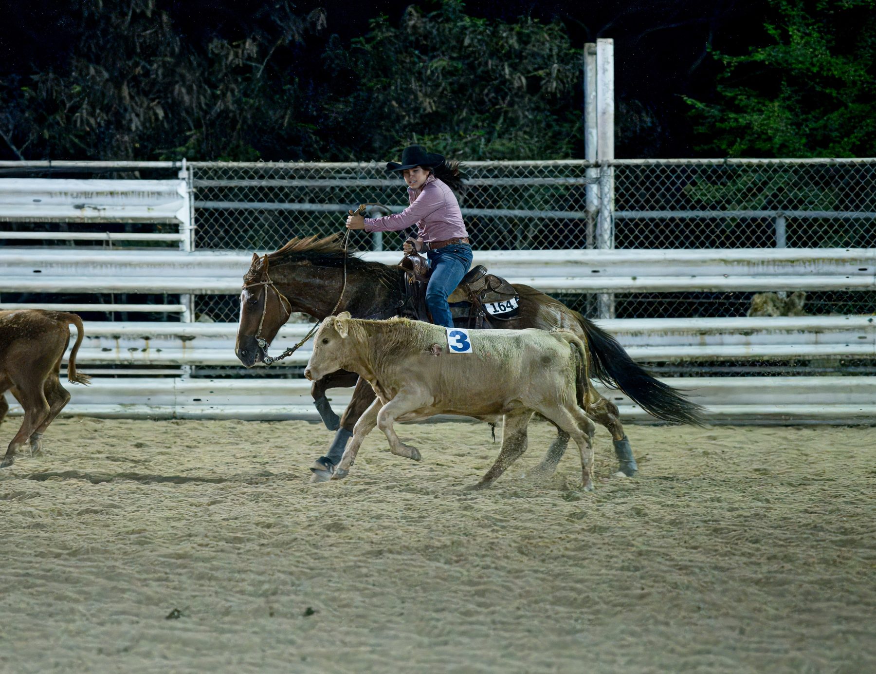 Youth rider in night event